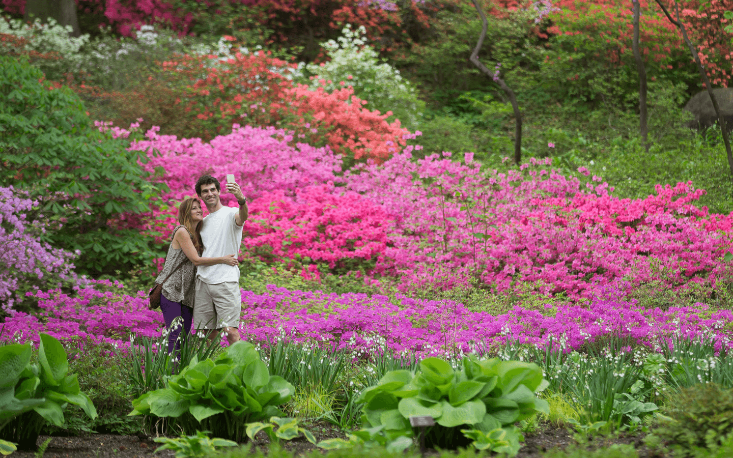 Brooklyn Botanical Gardens: romantic spots in New York