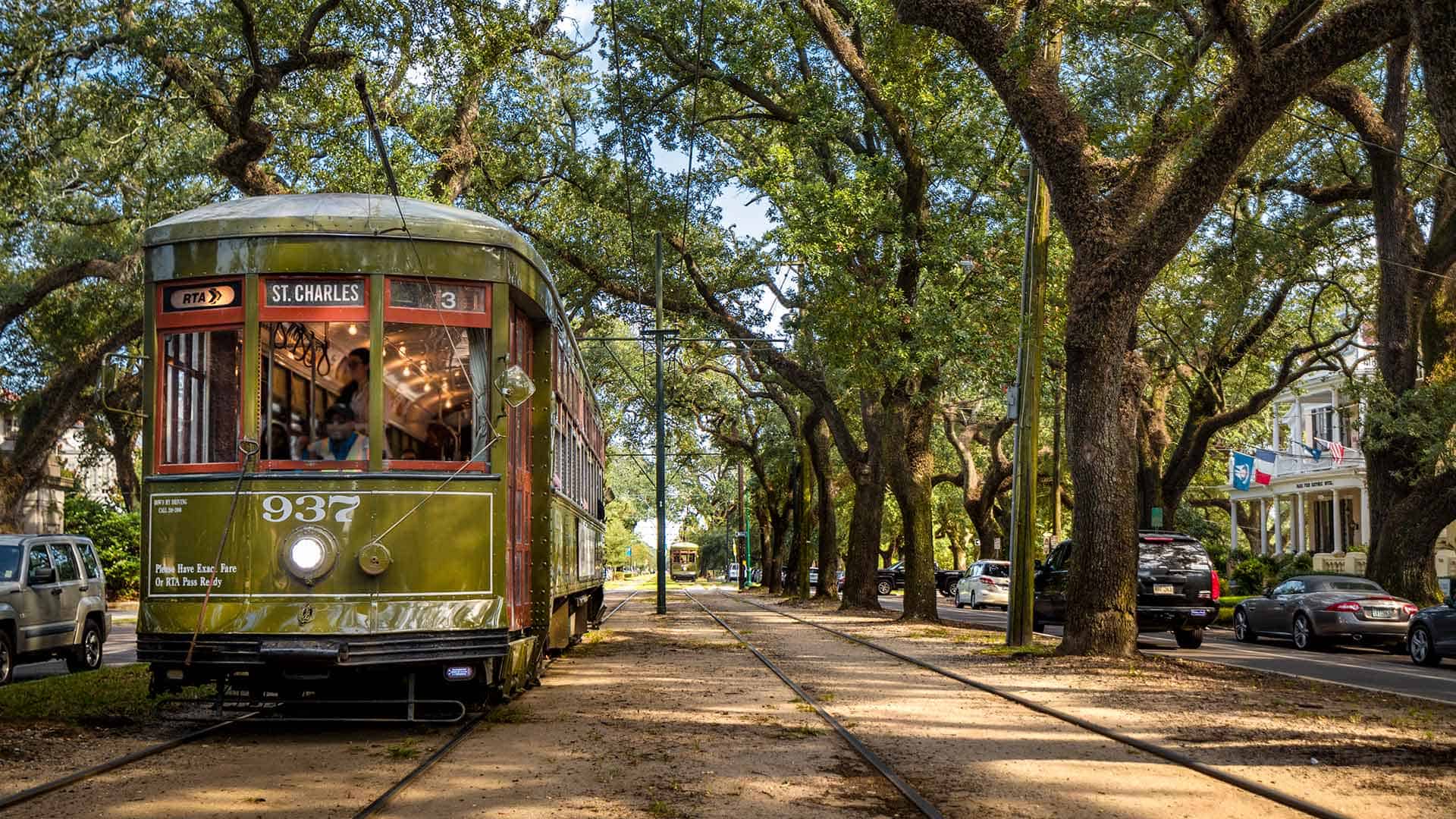 New Orleans: where to visit in February