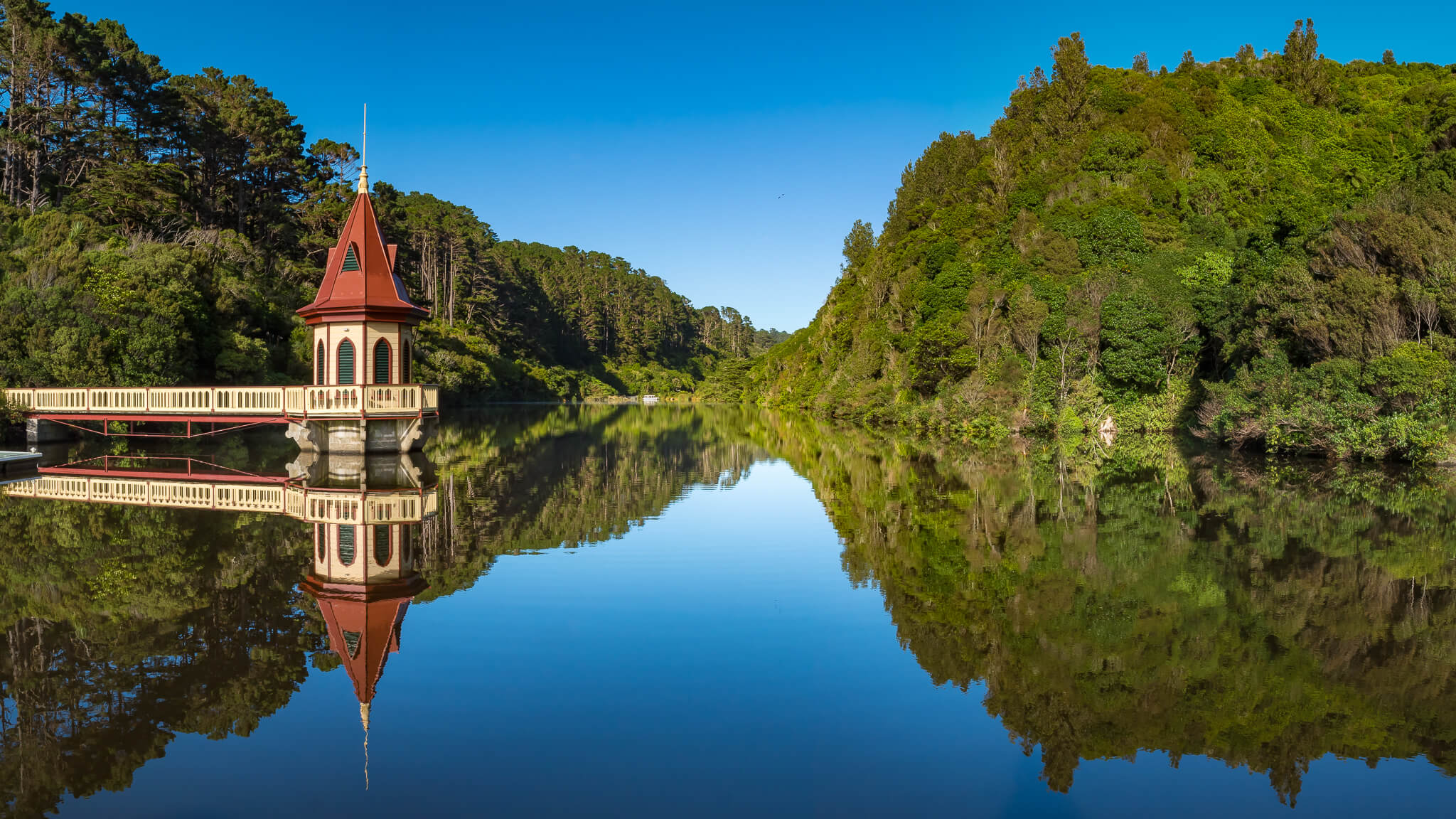 things to do in Wellington: The Zealandia Sanctuary in Karori