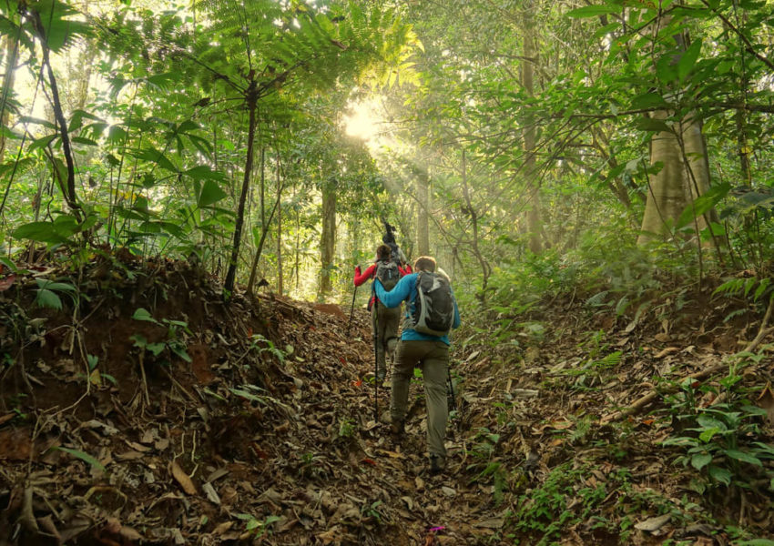 Best Hikes in Costa Rica