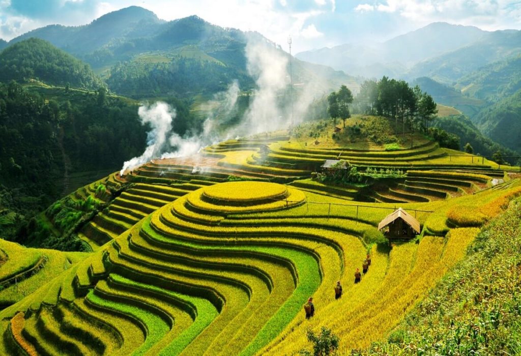 Eighth Wonder: Rice Terraces, Vietnam