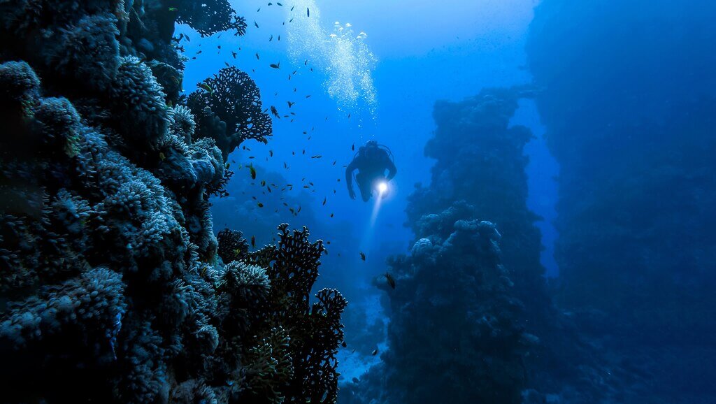 under sea