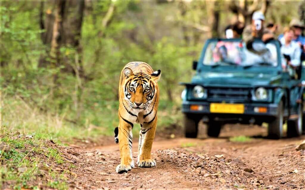 Exploring Rajasthan