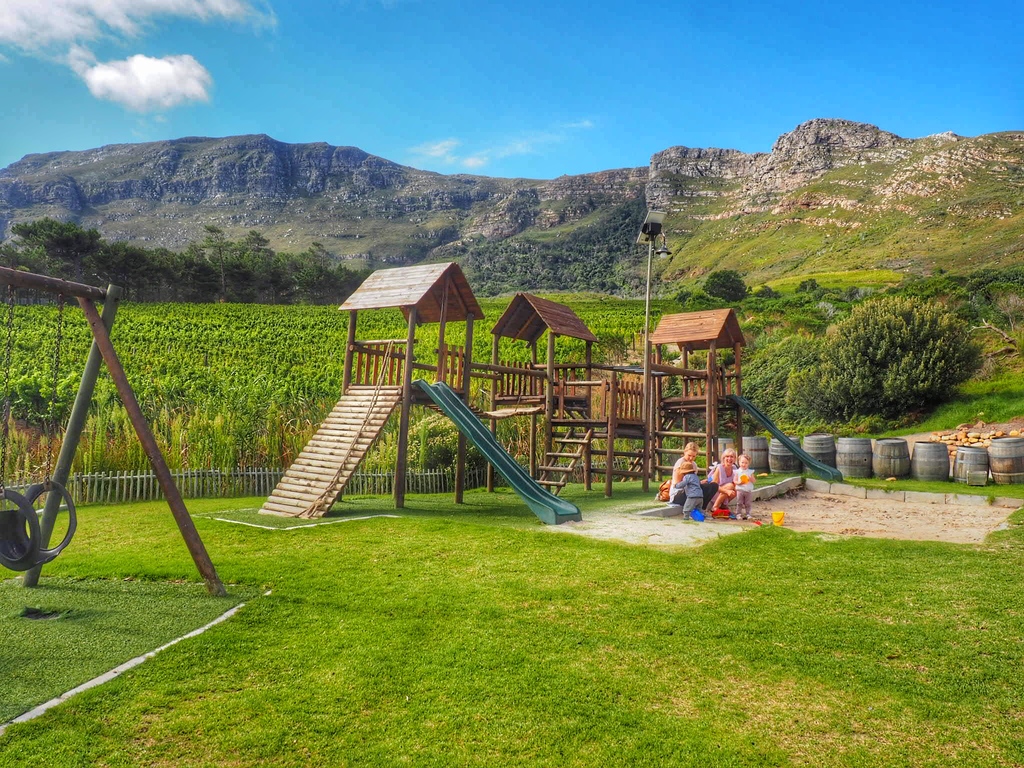 Cape wineland south africa