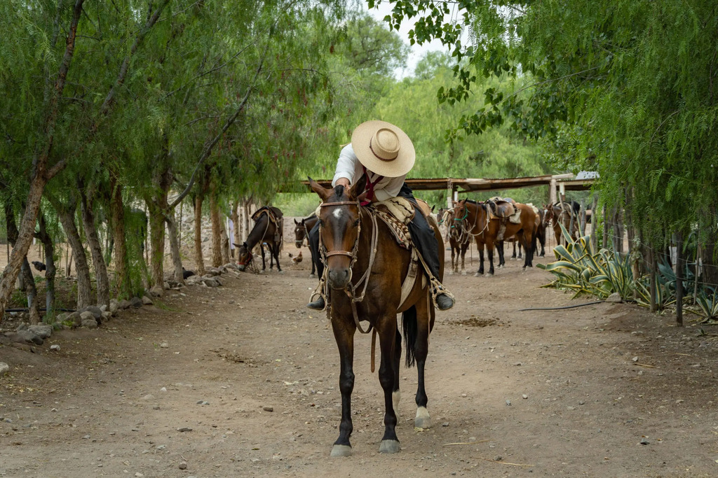 Menodza Argentina