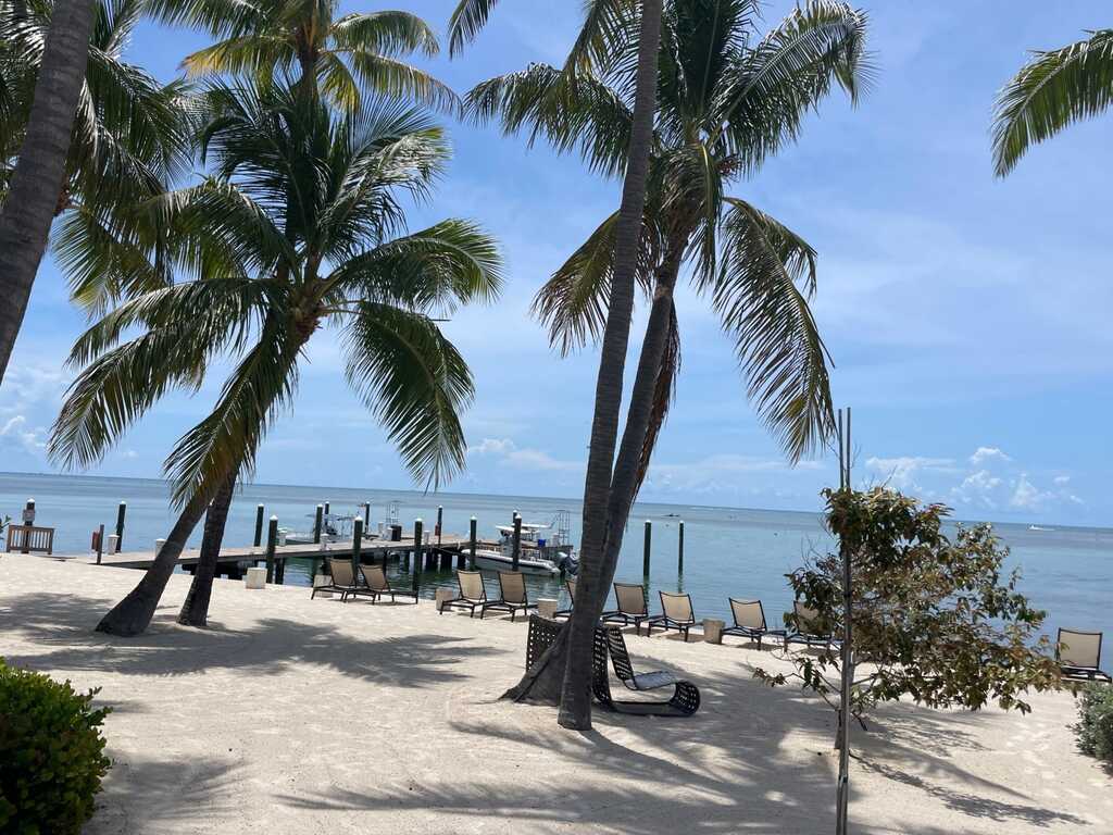 Caribbean Club