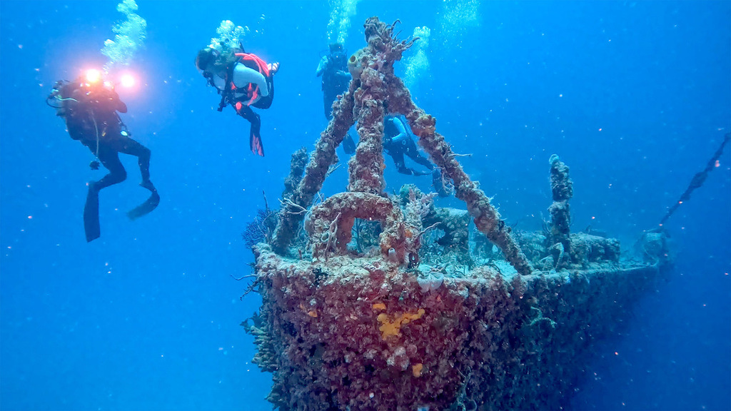 Reef Diving at Spiegel Grove Wreck