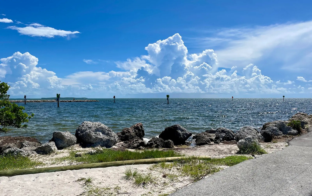 Relax at Harry Harris Park