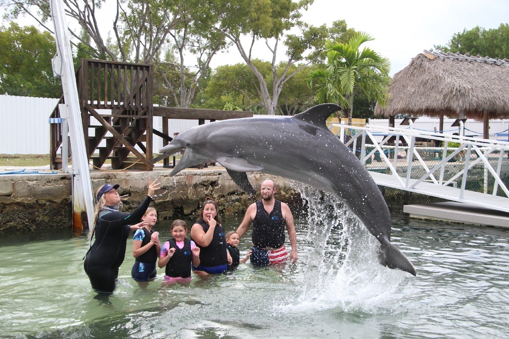 Swim with Dolphins at Dolphins Plus Marine Mammal Responder