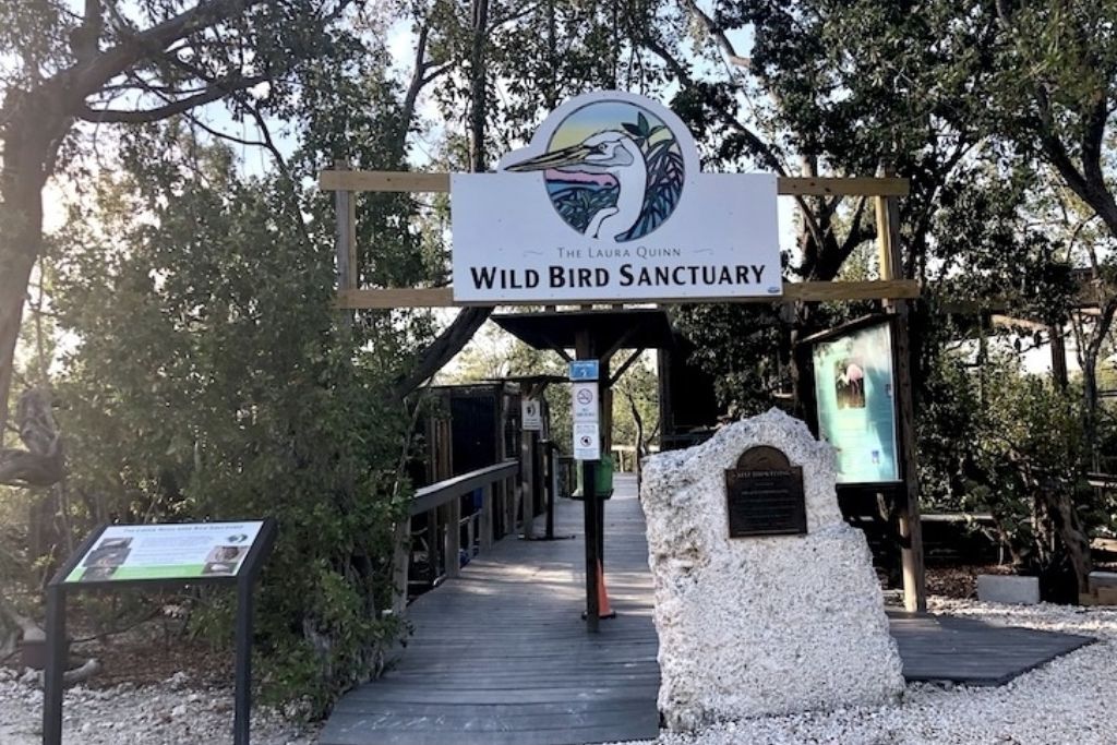 Visit the Florida Keys Wild Bird Rehabilitation Center