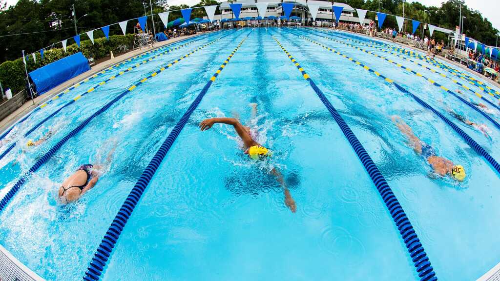 Things to do in Tallahassee FL Trousdell Aquatics Center 