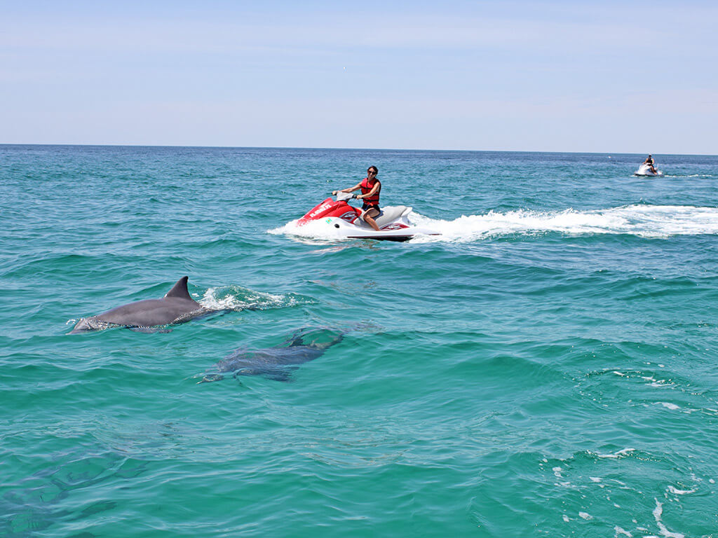 Waverunner Dolphin Tour