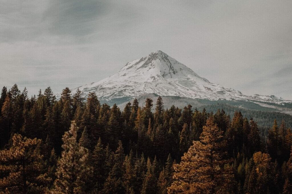 National Forest of Mount Hood: best things to do in oregon
