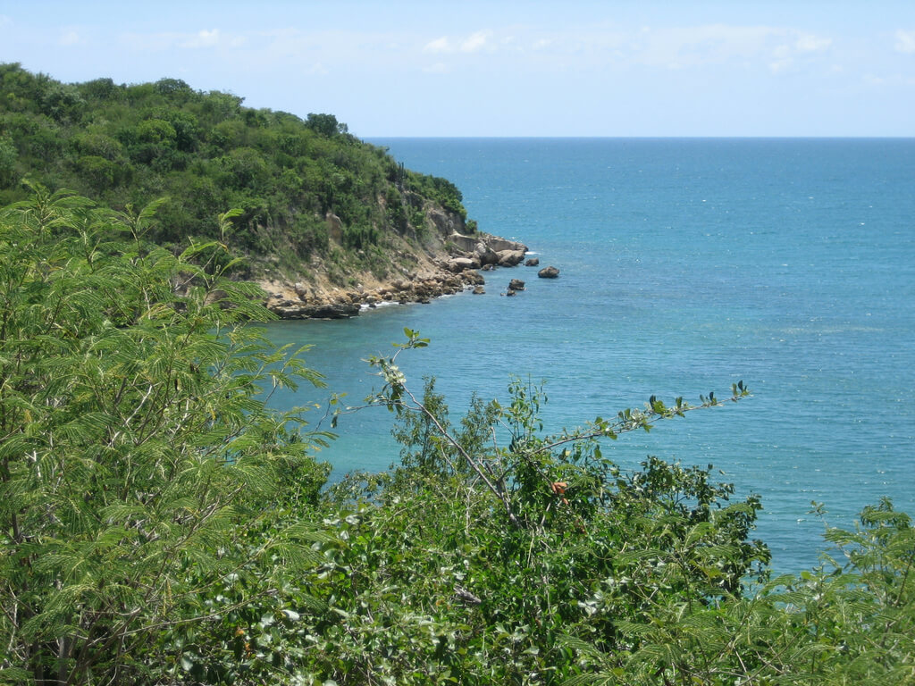fun things to do in puerto rico: Guanica State Forest and Reserve