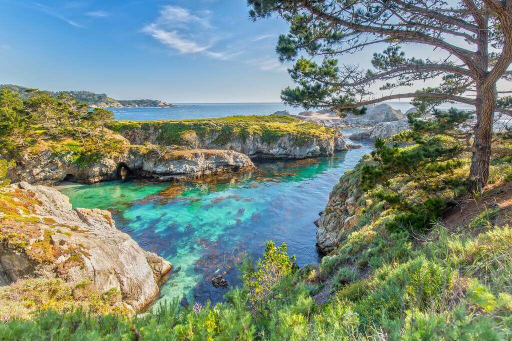 monterey things to do: Point Lobos