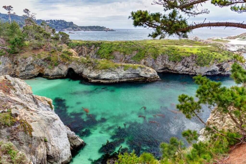 monterey things to do: Point Lobos