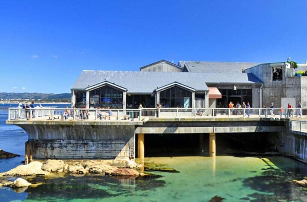 monterey things to do: Monterey Bay Aquarium