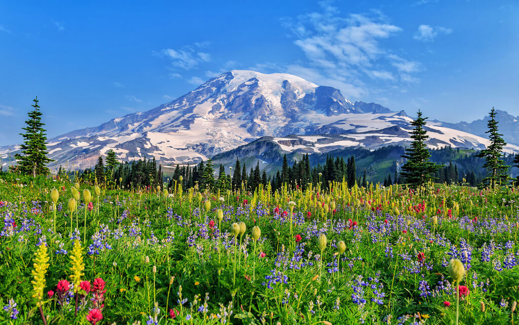Mount Rainier National Park, Washington: places for camping