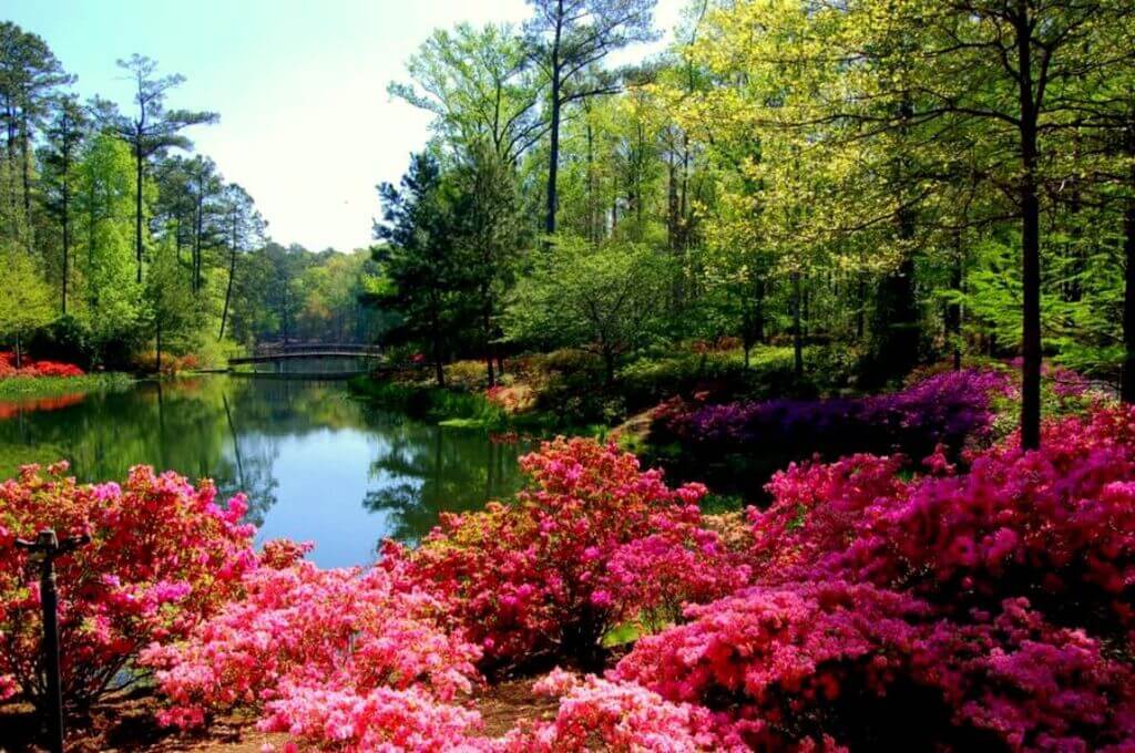 places to visit in Georgia: Callaway Gardens