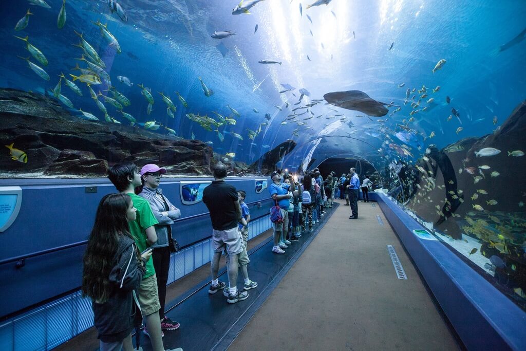 places to visit in Georgia: Georgia Aquarium