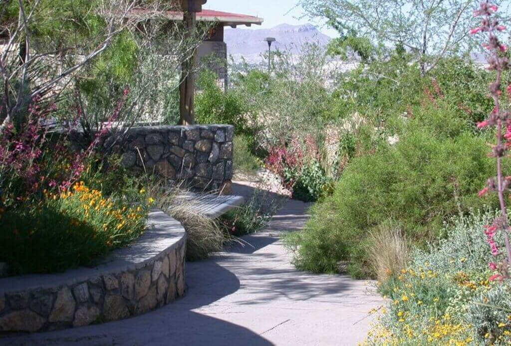 Chihuahuan Desert Gardens and the Centennial Museum