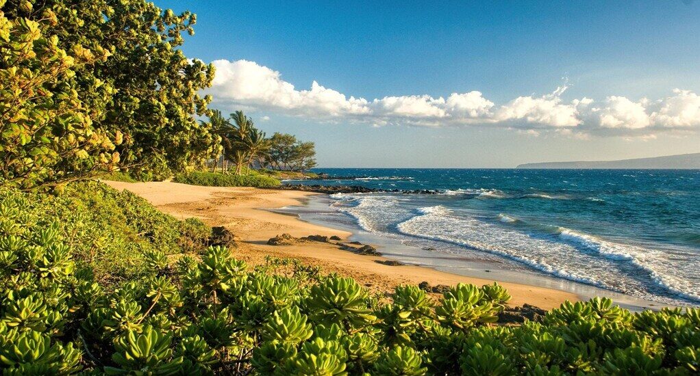 Polo Beach: things to do in maui