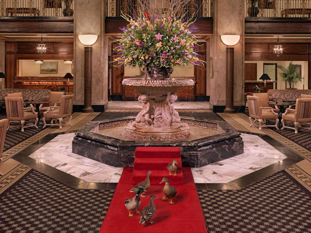 things to do in Memphis TN: The Peabody Ducks
