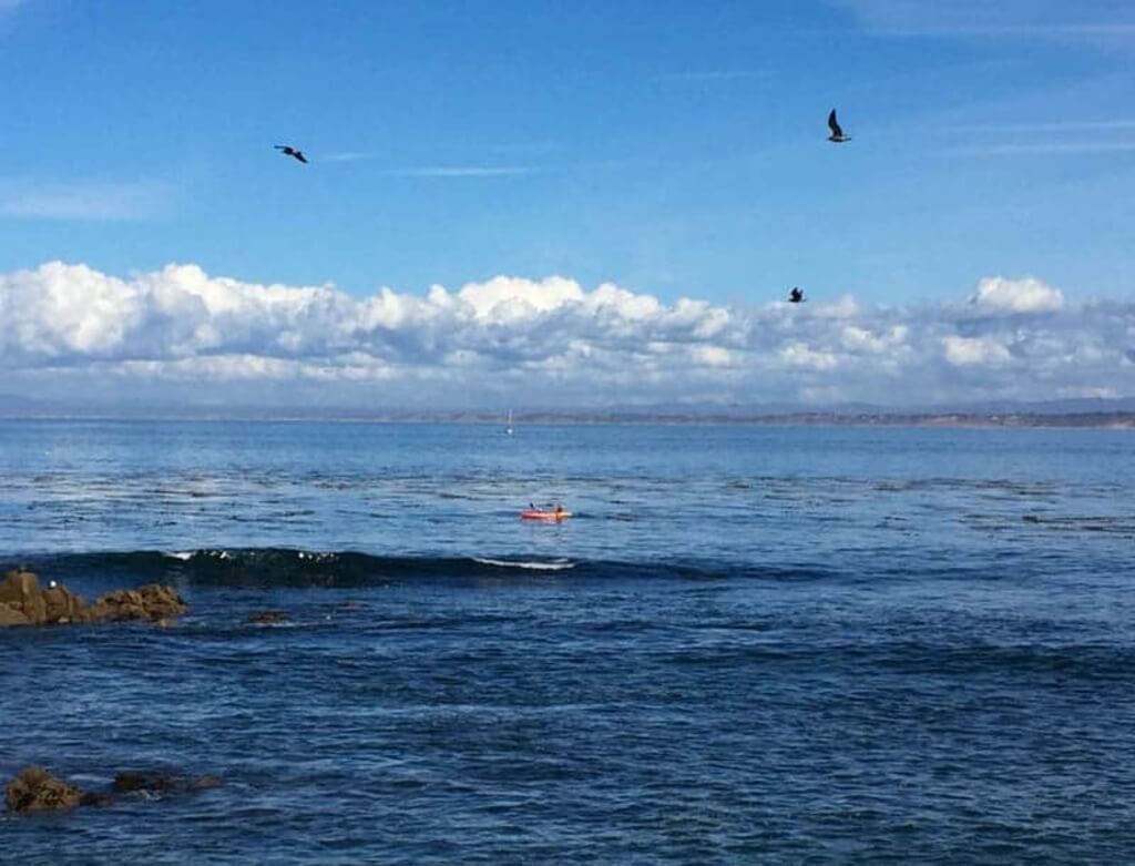 things to do in Monterey CA: Kayaking