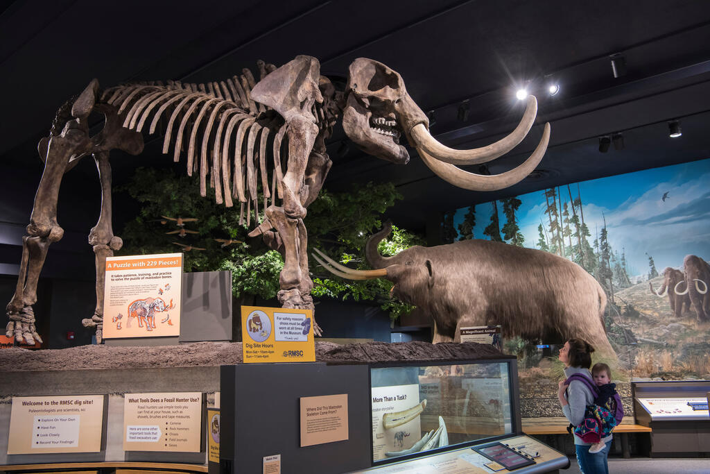 things to do in rochester NY: Rochester Museum & Science Center
